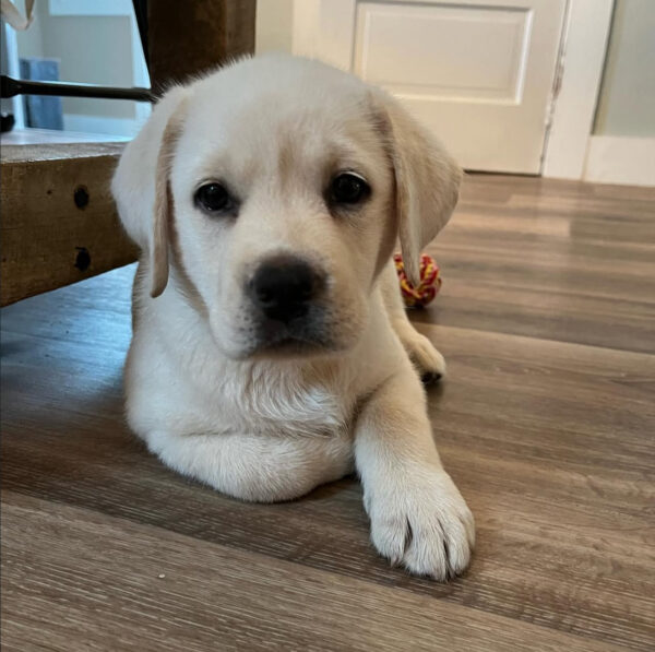 Sadie, Female